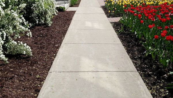 Cost of Sidewalk Slab Replacement in Colorado Springs