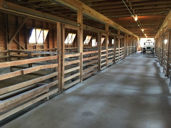 Cost of Barn Floor Pouring in Colorado Springs